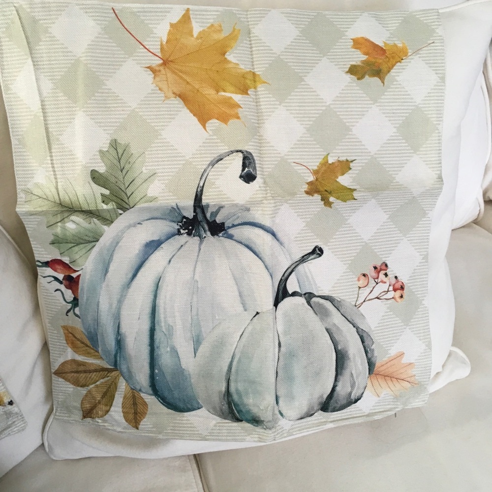 3 Fall Pumpkin Decorative Pillow Covers - Picture 4 of 6